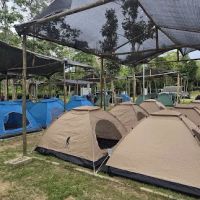 D TO TREE @ D 23 CAMPSITE ico