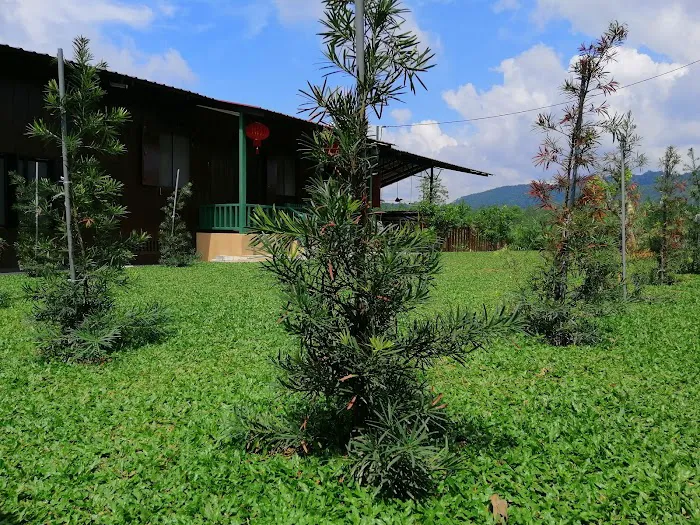 Potai Farmstay - Village Homestay in Negeri Sembilan Picture 10