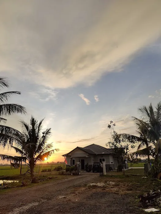 CASA D BENDANG Picture 4