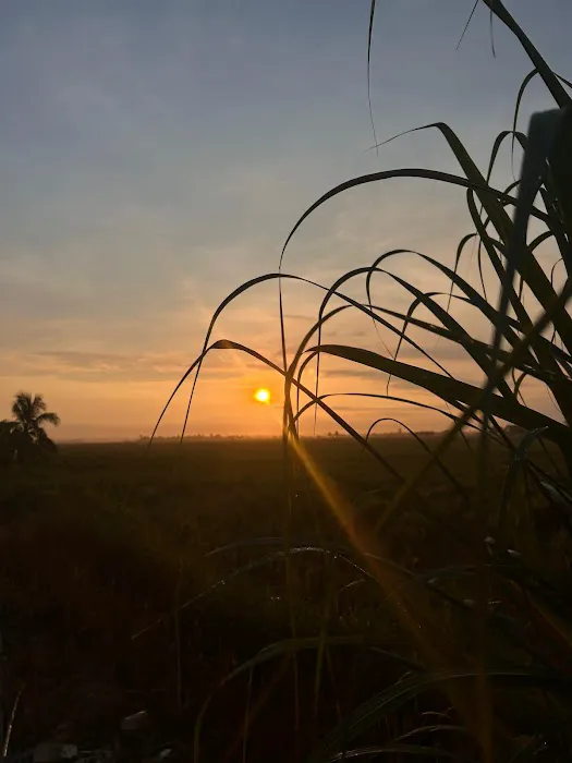 RumahSugeh Picture 10
