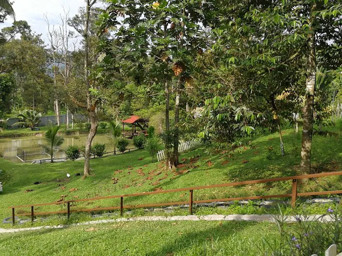 Broga Kampung Chalet Picture 5