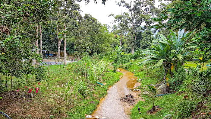 Broga Kampung Chalet Picture 8