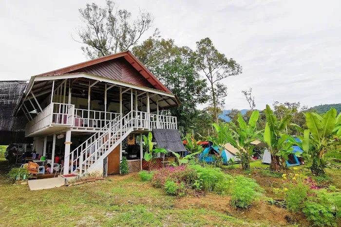 CEF Organic Farm Picture 2