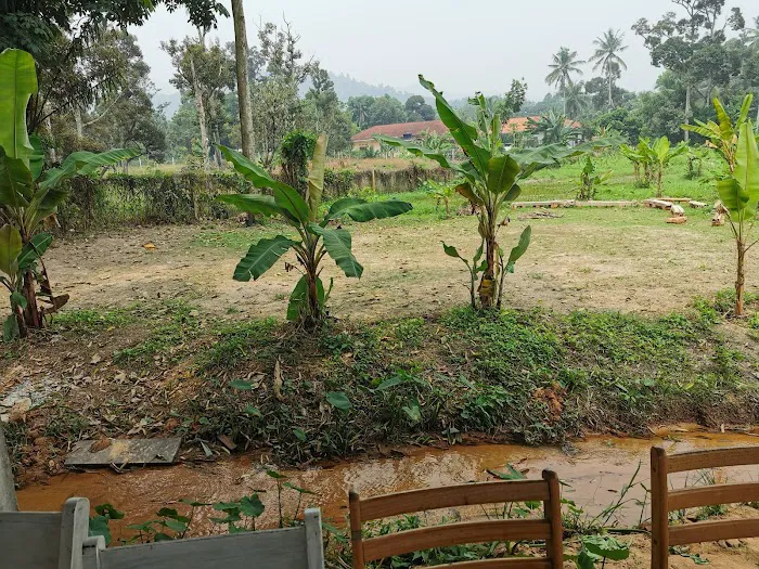 CEF Organic Farm Picture 1