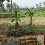 CEF Organic Farm