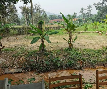 CEF Organic Farm