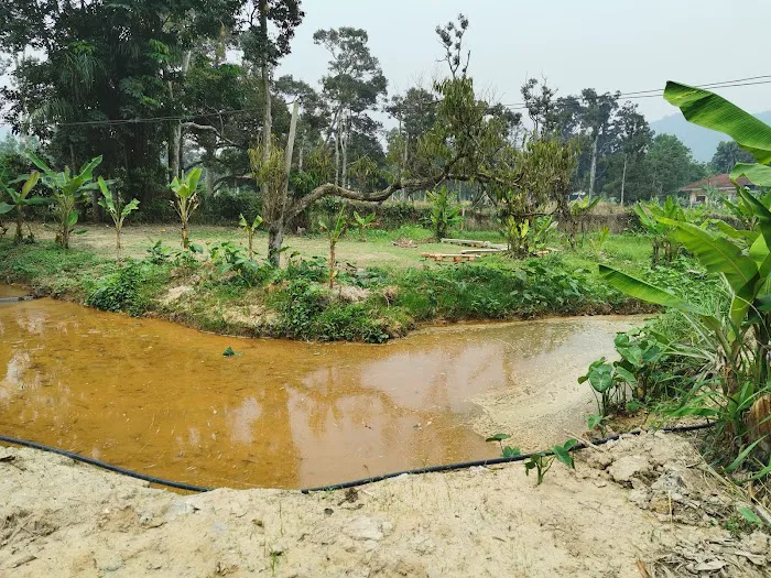 CEF Organic Farm Picture 9