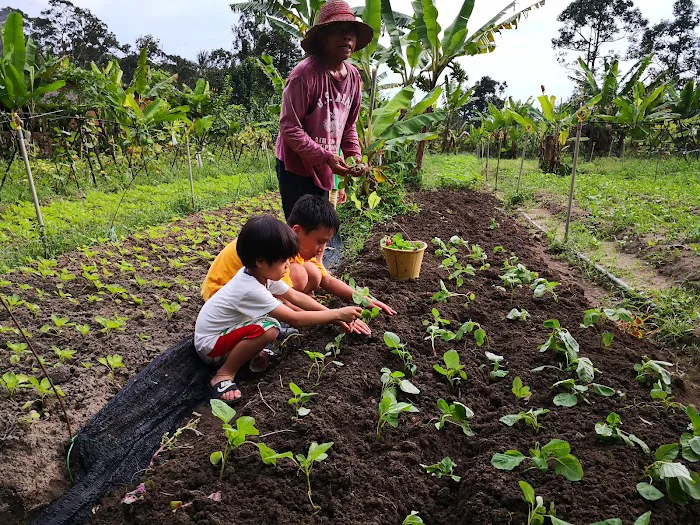 CEF Organic Farm Picture 5