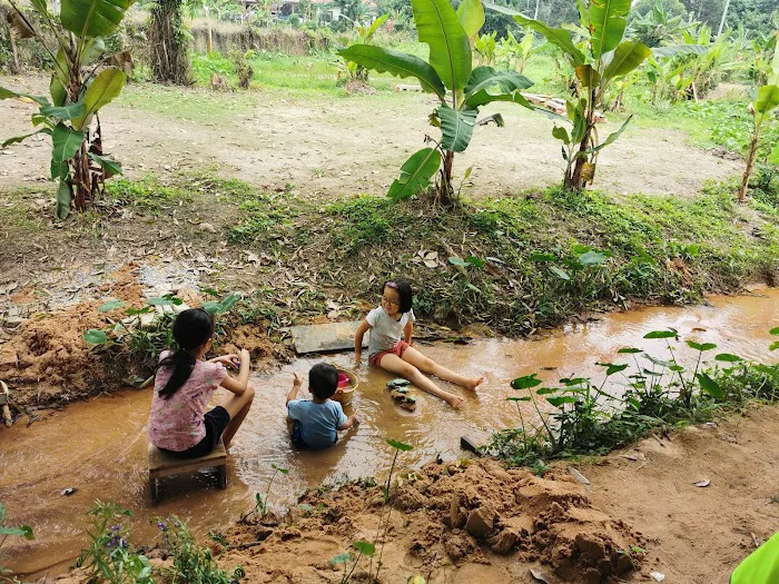 CEF Organic Farm Picture 10