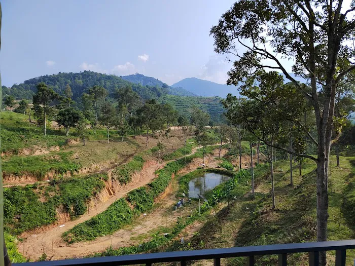 Black Cat Durian Valley 黑猫谷 Picture 1