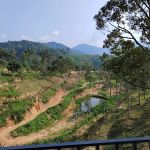 Black Cat Durian Valley 黑猫谷