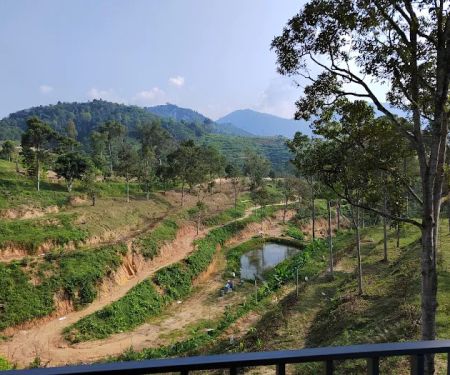 Black Cat Durian Valley 黑猫谷
