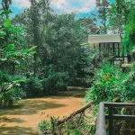 TJS Holiday Homes