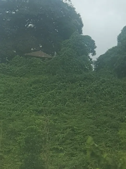 Sime Darby Mill & Estate Bungalows Picture 6