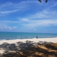 TC Beach Hotel ico