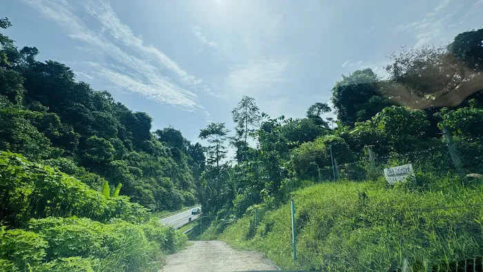 Jeli Height Hill Home Picture 1