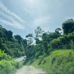 Jeli Height Hill Home