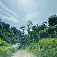 Jeli Height Hill Home ico