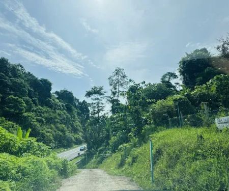 Jeli Height Hill Home