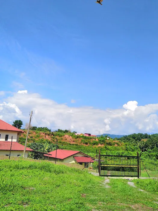 Shahir Zahari Picture 1