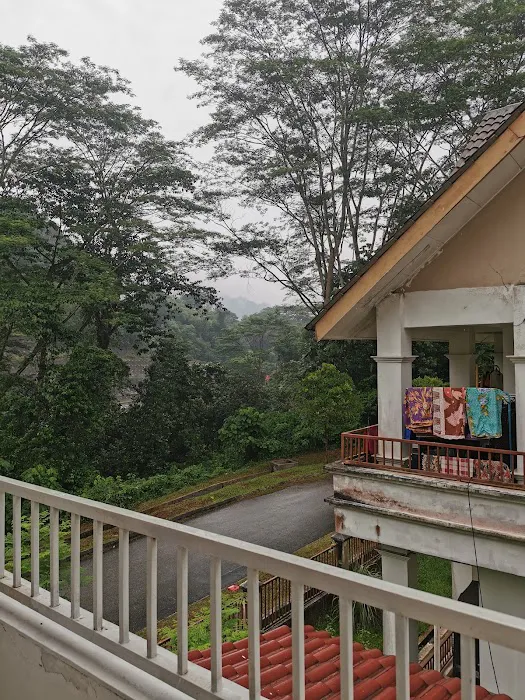 The Jungle Rainforest Retreat, Templer Park Picture 4