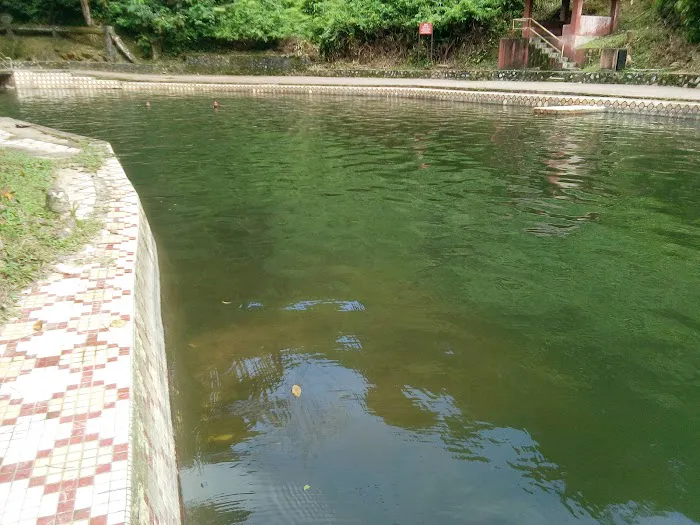 The Jungle Rainforest Retreat, Templer Park Picture 8