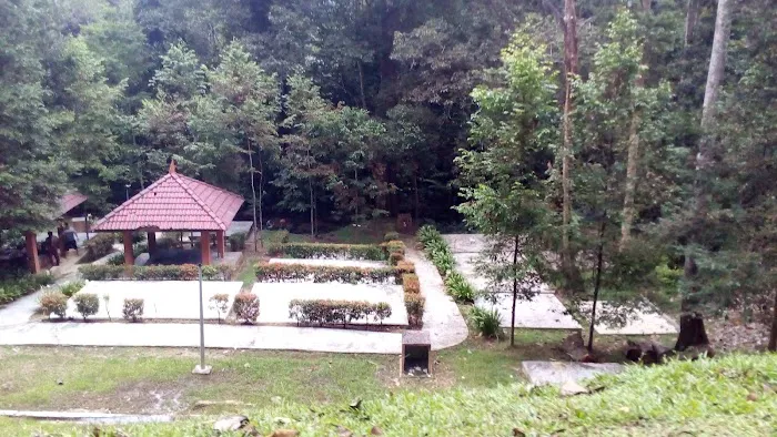 The Jungle Rainforest Retreat, Templer Park Picture 9