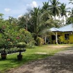 Homestay Nur Beatrisya Kg Baru Ayer Hitam Jempol, N.Sembilan