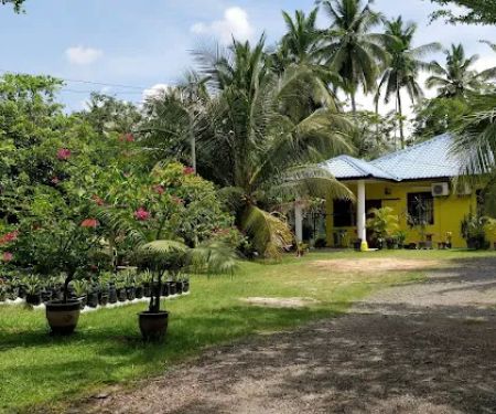 Homestay Nur Beatrisya Kg Baru Ayer Hitam Jempol, N.Sembilan
