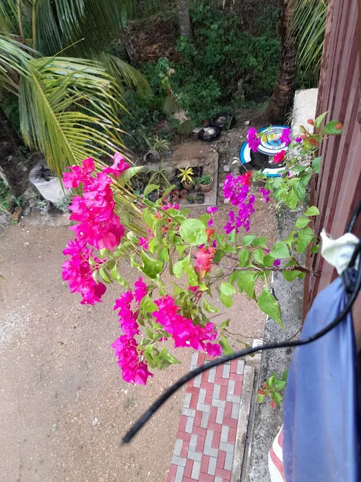 Walaiku Farhan's Homestay Picture 6
