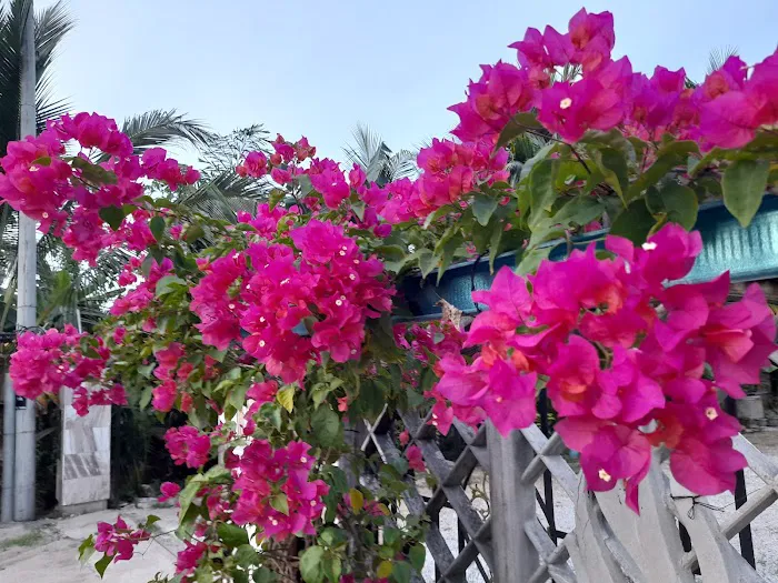 Walaiku Farhan's Homestay Picture 5