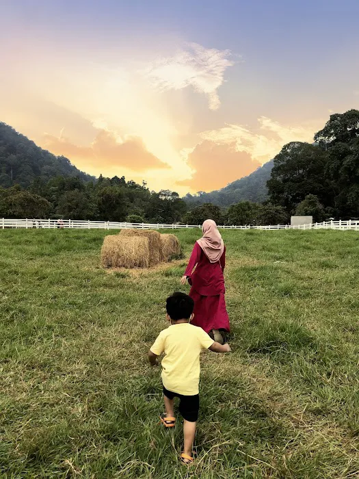 Walaiku Farhan's Homestay Picture 10