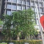 Bernama Media Relations & Event Management