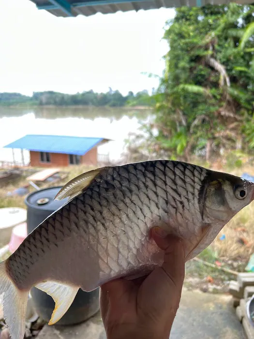 Rumah Rakit Ude Pahang Riverview Picture 5