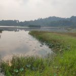 Rajan Jones Guest House Tasik Chini
