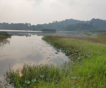 Rajan Jones Guest House Tasik Chini