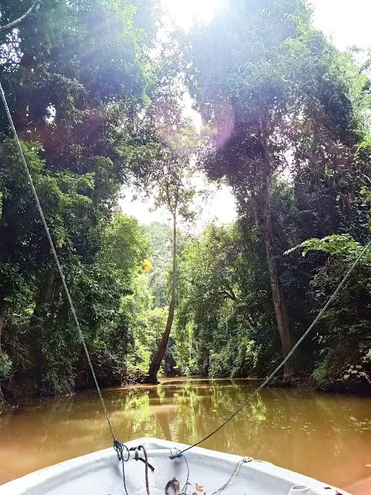 Rajan Jones Guest House Tasik Chini Picture 10