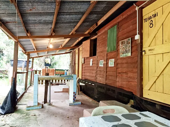 Rajan Jones Guest House Tasik Chini Picture 8