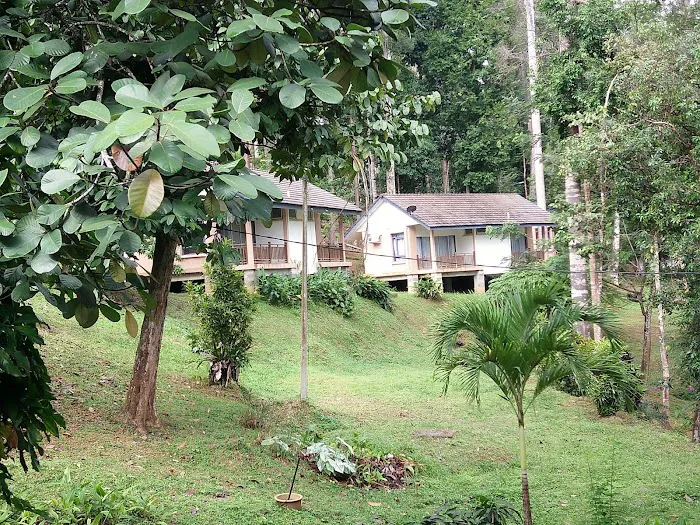 Lake Chini Resort Picture 8