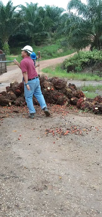 Perumahan Kakitangan Felda Lepar Hilir 6 Picture 6