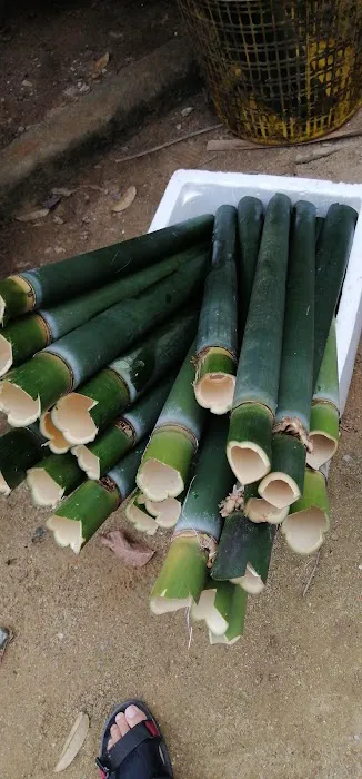 Rumah Pak Ngah Duan (Lemang) Picture 1