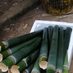 Rumah Pak Ngah Duan (Lemang)