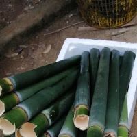 Rumah Pak Ngah Duan (Lemang) ico