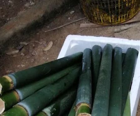 Rumah Pak Ngah Duan (Lemang)