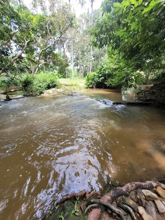 Lata Lang Buana Eco Park Picture 3