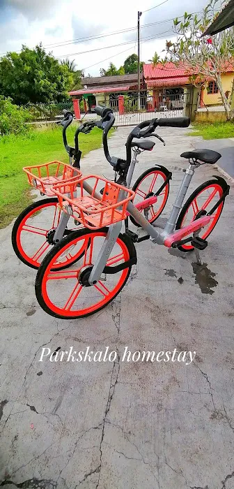 Parkskalo Homestay Picture 6