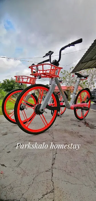 Parkskalo Homestay Picture 5