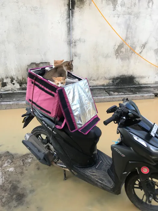Port Foodpanda Picture 4