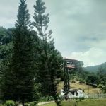 Cameronian Hills Homes