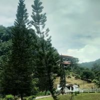 Cameronian Hills Homes ico